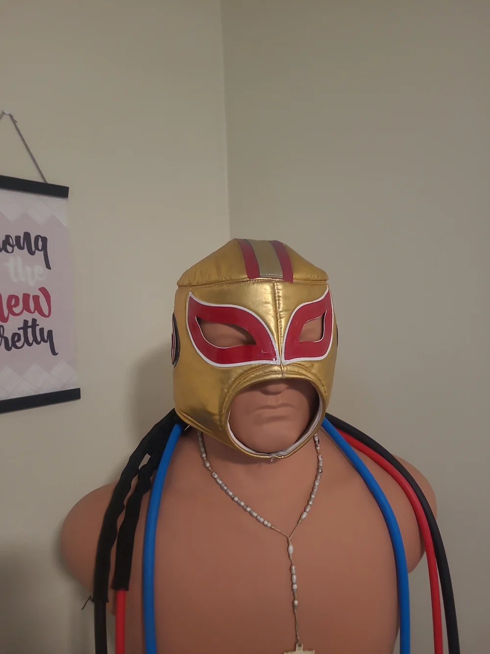 SAN FRANCISCO 49ers WRESTLING-LUCHADOR! GREAT FOR NFL FANS